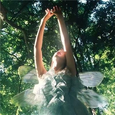 在傅总心尖撒野